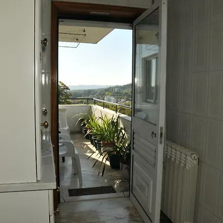 Arcela Guimarães